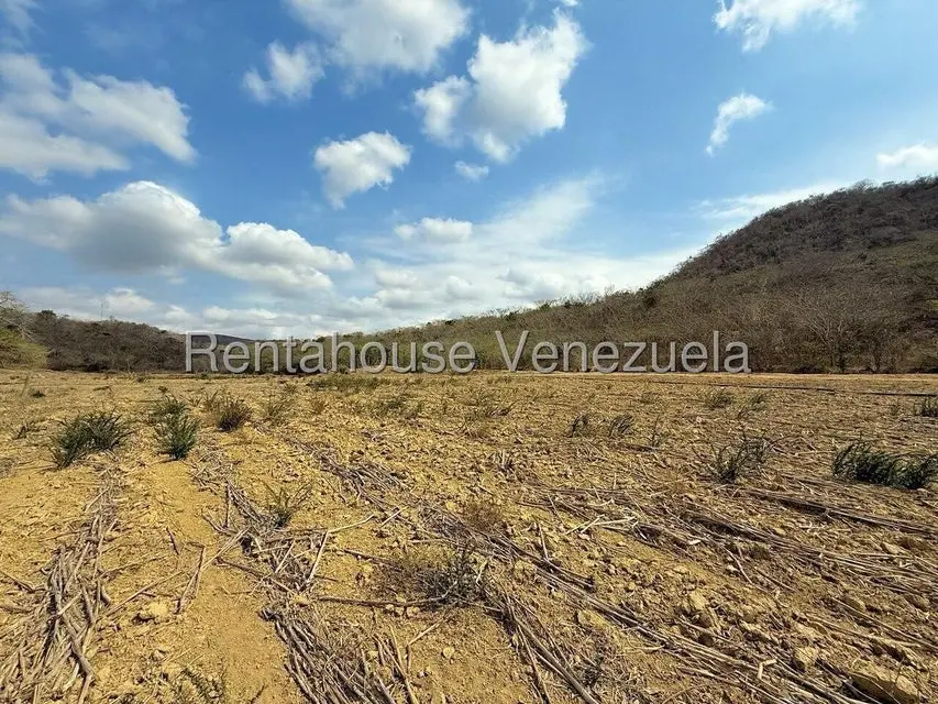 Terreno (Finca) en Venta en Municipio Peña, Yaracuy - 74