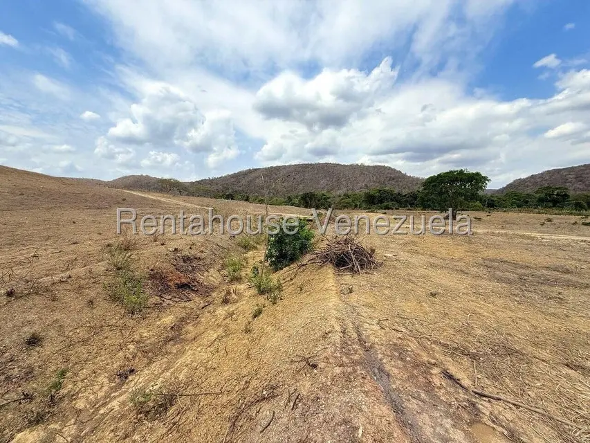 Terreno (Finca) en Venta en Municipio Peña, Yaracuy - 75
