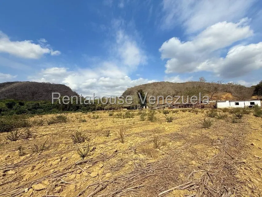 Terreno (Finca) en Venta en Municipio Peña, Yaracuy - 76