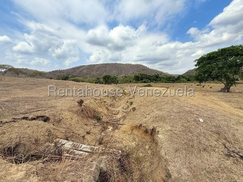 Terreno (Finca) en Venta en Municipio Peña, Yaracuy - 77