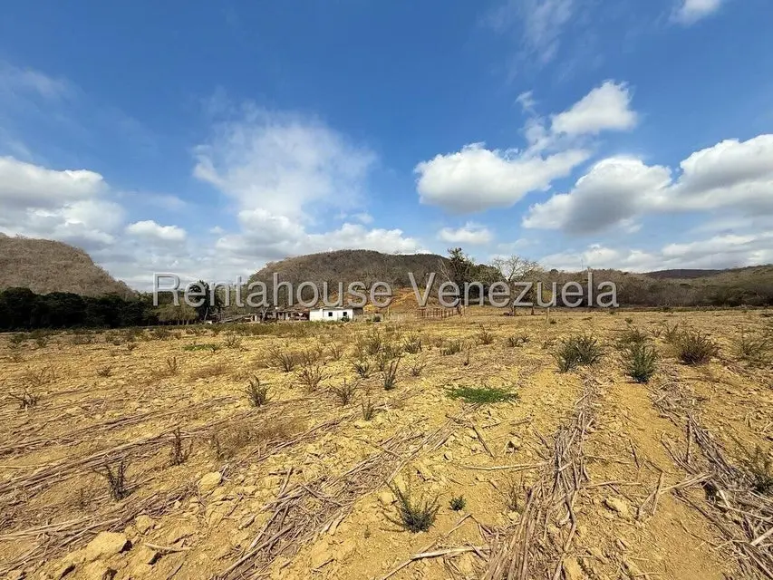 Terreno (Finca) en Venta en Municipio Peña, Yaracuy - 78