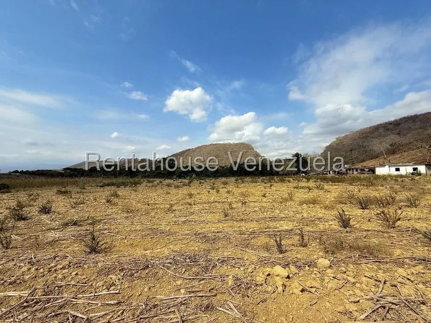 Terreno (Finca) en Venta en Municipio Peña, Yaracuy - 79