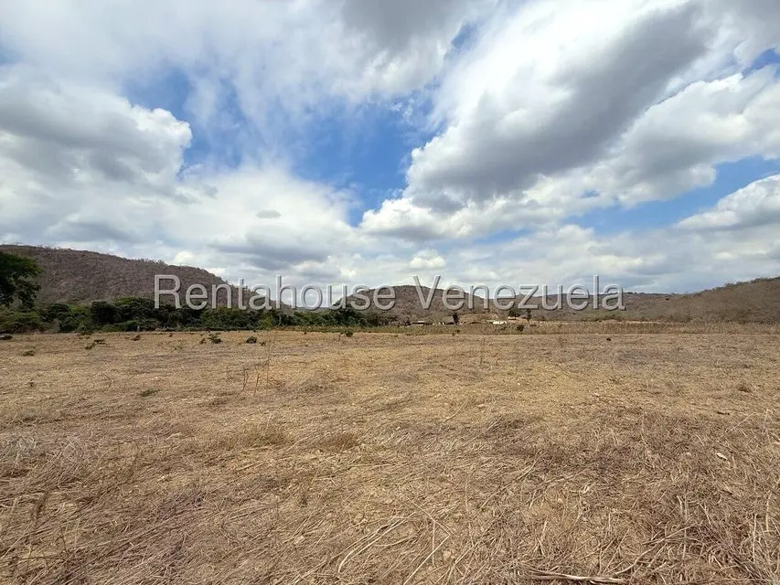 Terreno (Finca) en Venta en Municipio Peña, Yaracuy - 80