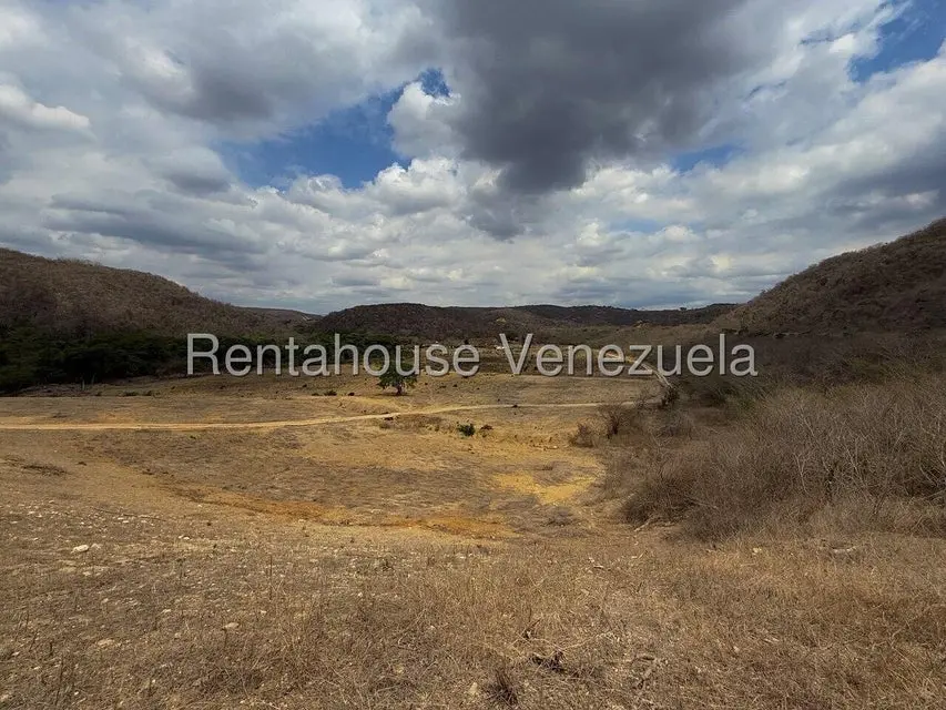 Terreno (Finca) en Venta en Municipio Peña, Yaracuy - 9