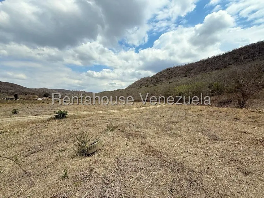 Terreno (Finca) en Venta en Municipio Peña, Yaracuy - 81