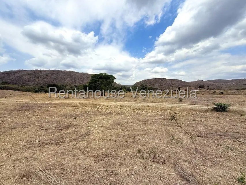 Terreno (Finca) en Venta en Municipio Peña, Yaracuy - 82