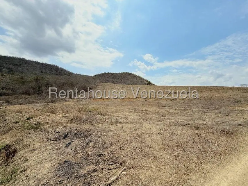 Terreno (Finca) en Venta en Municipio Peña, Yaracuy - 10