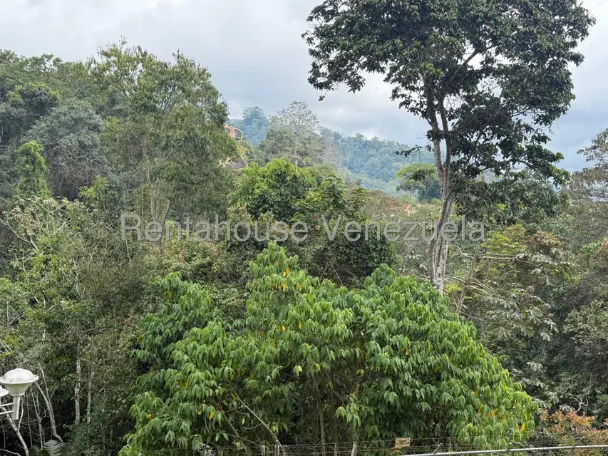 Apartamento (Duplex) en Venta en Los Nuevos Teques, Miranda - 49