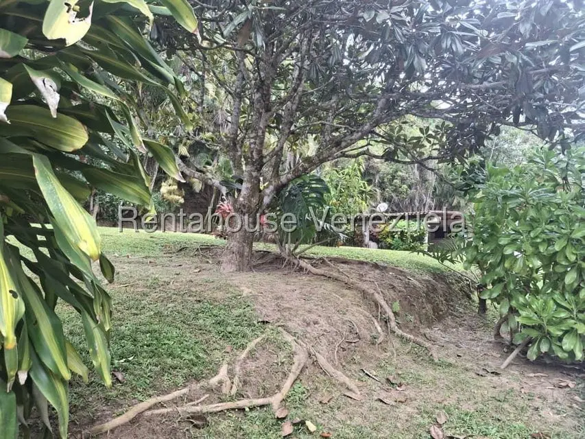 Casa (1 Nivel) en Venta en Los Geranios, Distrito Metropolitano - 21