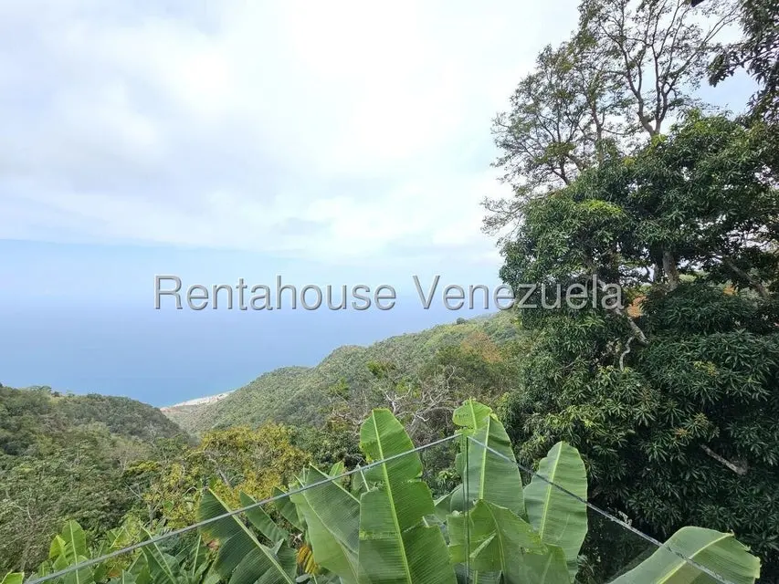 Casa (Multipes Niveles) en Venta en Galipan, Distrito Metropolitano - 20