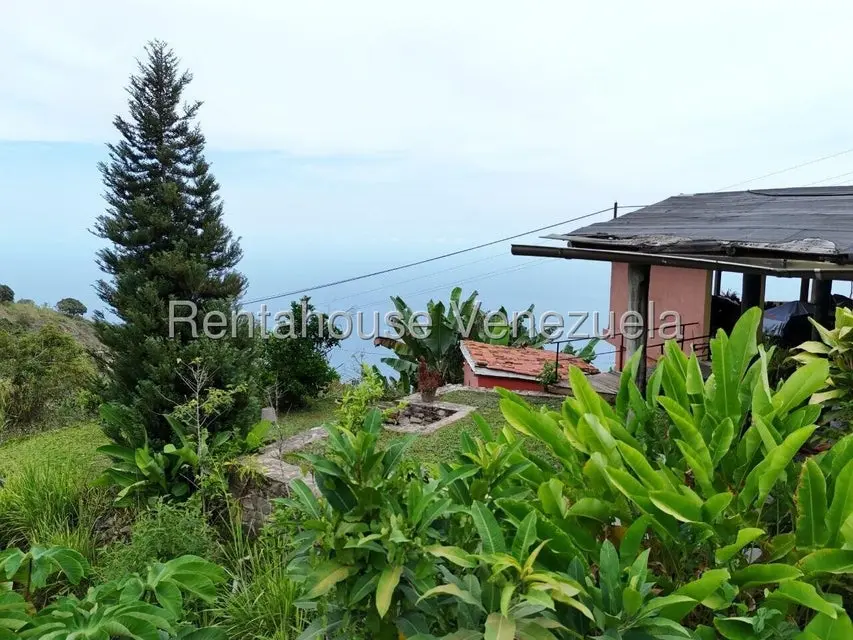 Casa (Multipes Niveles) en Venta en Galipan, Distrito Metropolitano - 67