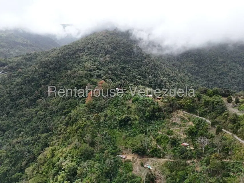 Casa (Multipes Niveles) en Venta en Galipan, Distrito Metropolitano - 69