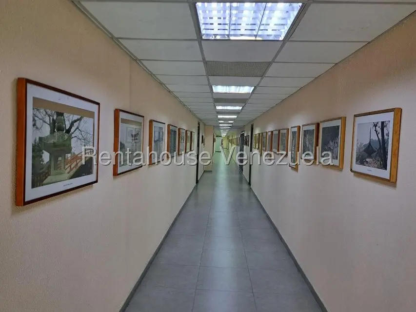 Comercial (Oficina) en Alquiler en Los Ruices, Distrito Metropolitano - 3