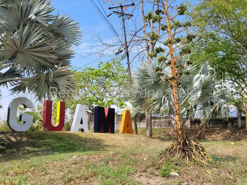 Comercial (Local Comercial) en Venta en Centro - Guama, Yaracuy - 39