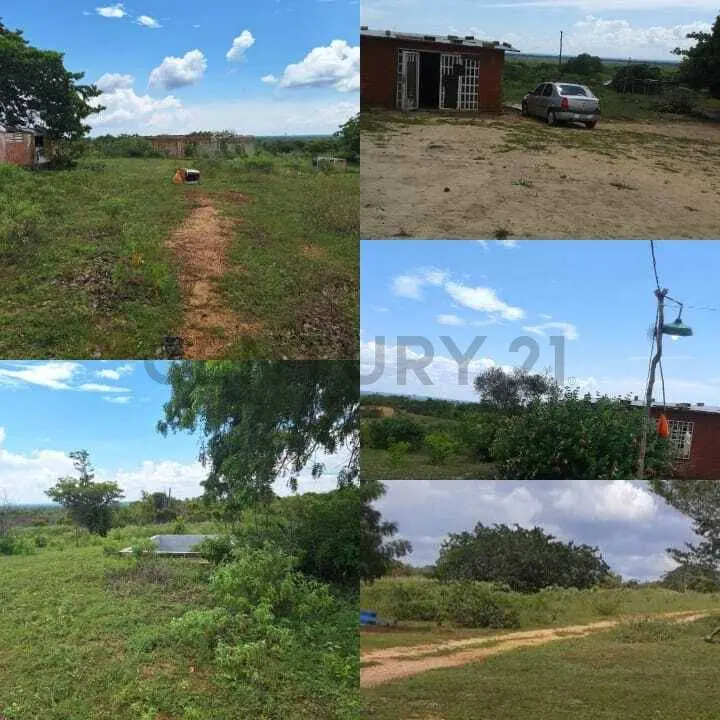 Venta de Terreno - 6