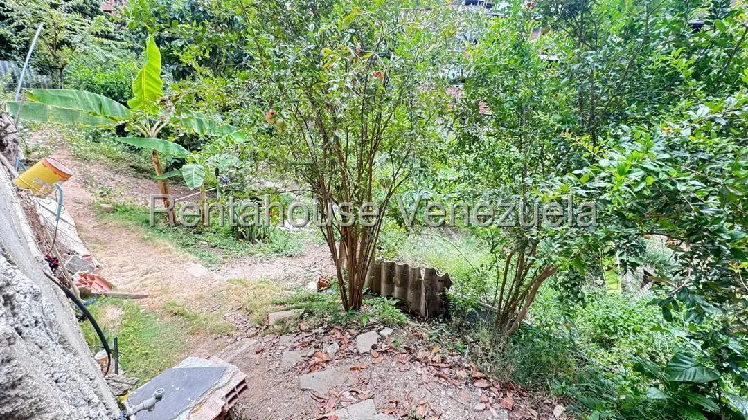 Comercial (Local Comercial) en Venta en Ezequiel Zamora, Vargas - 19