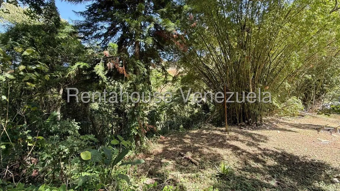 Terreno (Finca) en Venta en Gavilan, Distrito Metropolitano - 2