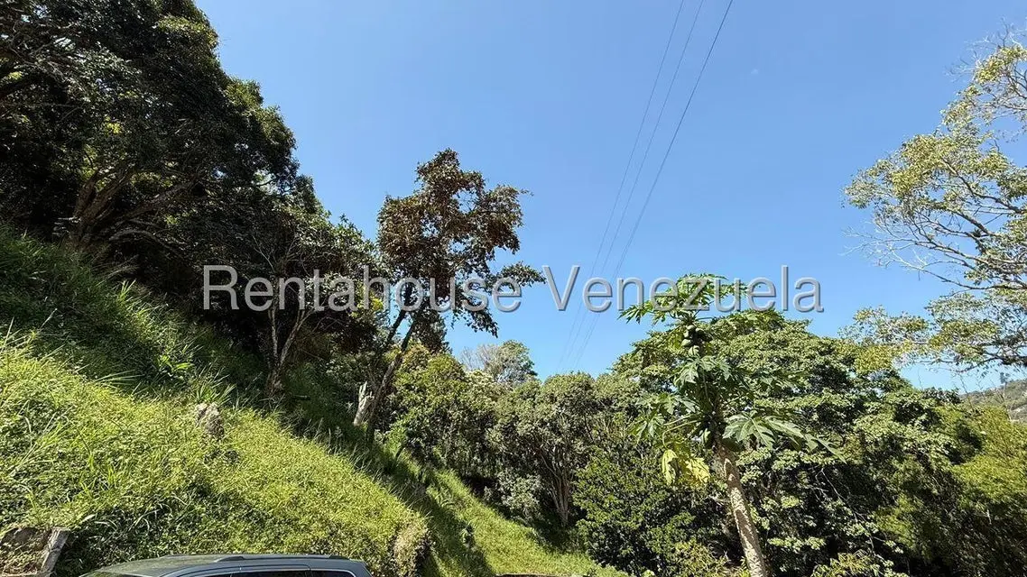 Terreno (Finca) en Venta en Gavilan, Distrito Metropolitano - 3