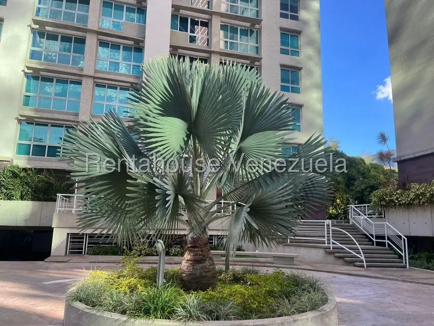 Apartamento (1 Nivel) en Alquiler en Campo Alegre, Distrito Metropolitano - 2