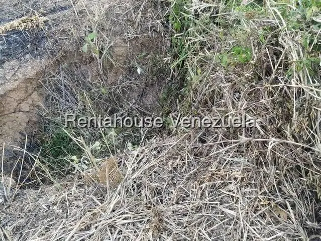 Terreno (Residencial) en Venta en Caicaguana, Distrito Metropolitano - 9