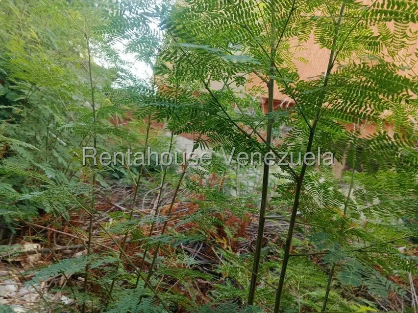 Terreno (Residencial) en Venta en Valle Frio, Zulia - 2