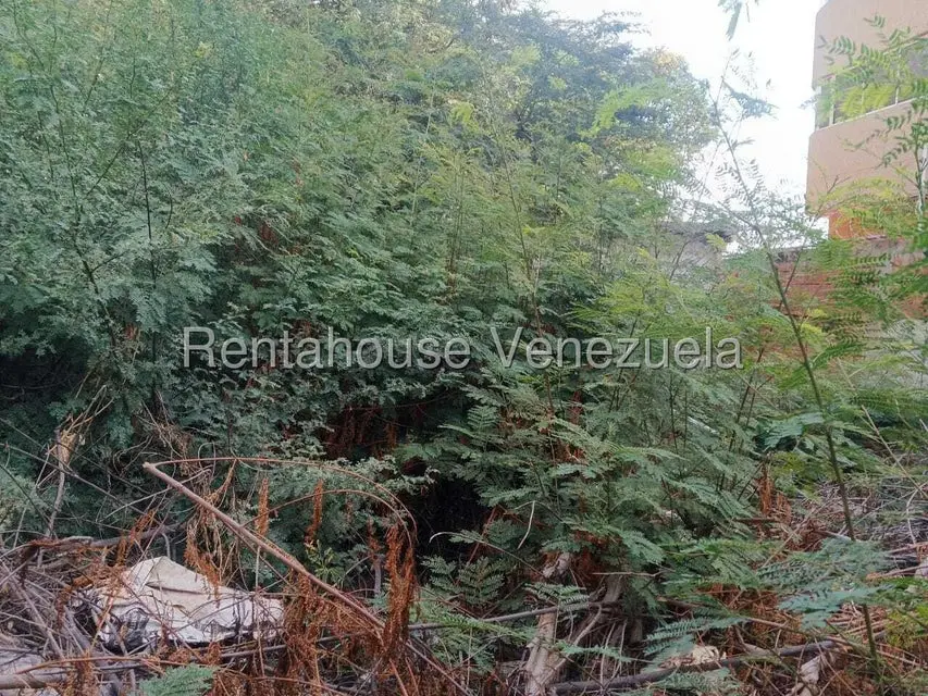 Terreno (Residencial) en Venta en Valle Frio, Zulia - 3