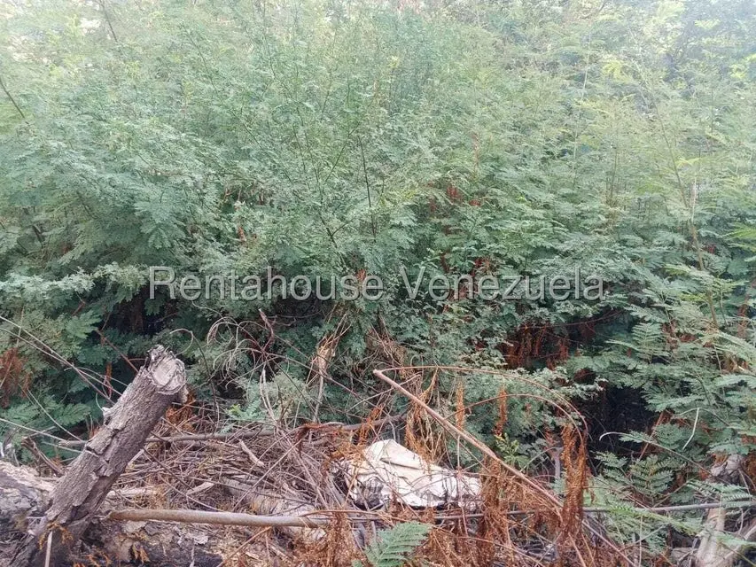 Terreno (Residencial) en Venta en Valle Frio, Zulia - 4