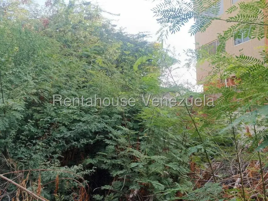 Terreno (Residencial) en Venta en Valle Frio, Zulia - 6