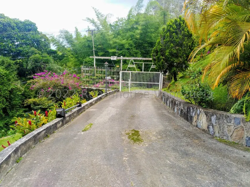 Casa (Duplex) en Alquiler en Oripoto, Distrito Metropolitano - 41