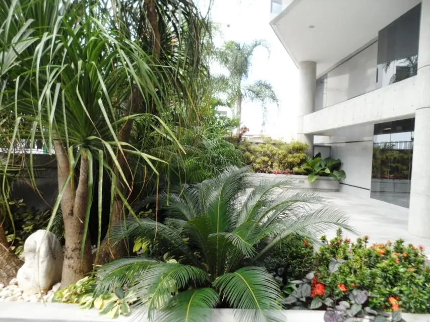 Comercial (Oficina) en Venta en Boleita Norte, Distrito Metropolitano - 2