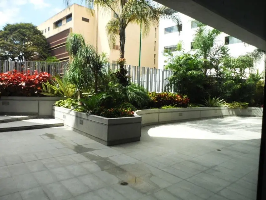 Comercial (Oficina) en Venta en Boleita Norte, Distrito Metropolitano - 3