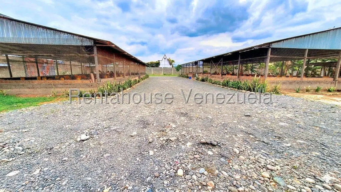 Comercial (Local Comercial) en Venta en El Mayal, Lara - 2