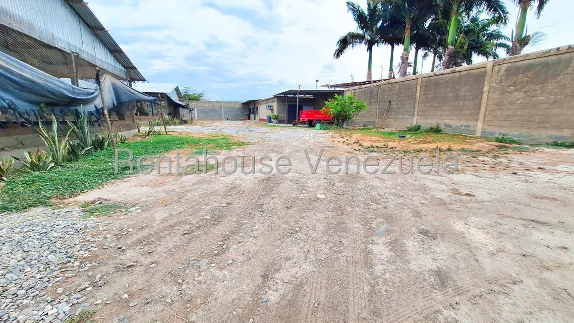 Comercial (Local Comercial) en Venta en El Mayal, Lara - 12