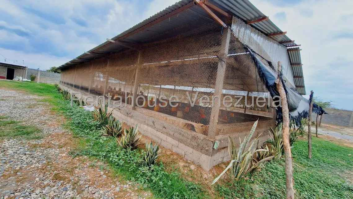 Comercial (Local Comercial) en Venta en El Mayal, Lara - 4