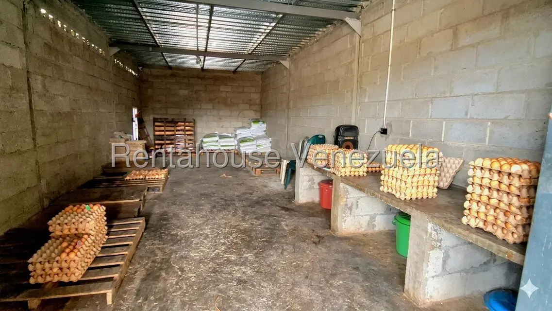 Comercial (Local Comercial) en Venta en El Mayal, Lara - 7