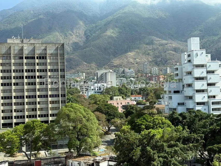 Comercial (Oficina) en Alquiler en Altamira, Distrito Metropolitano - 3