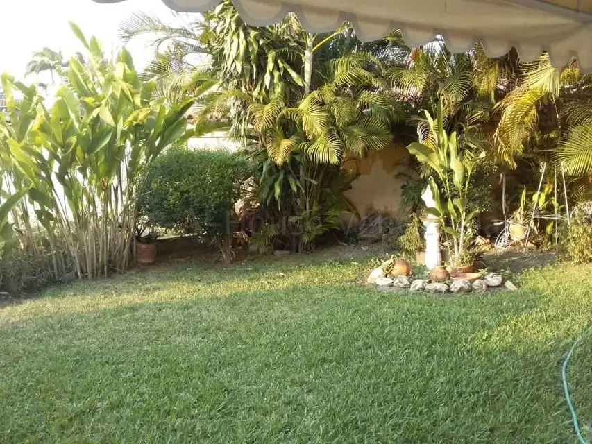 Casa (Multipes Niveles) en Venta en Colinas Del Turbio, Lara - 50