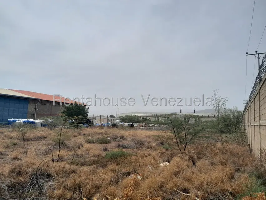 Terreno (Comercial) en Venta en La Velita, Falcon - 4