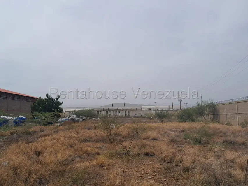 Terreno (Comercial) en Venta en La Velita, Falcon - 5