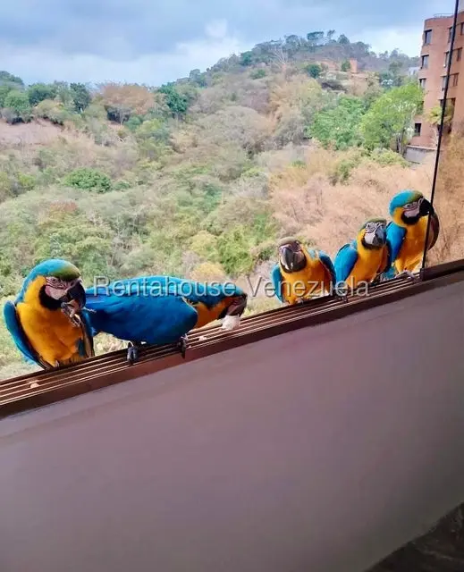 Apartamento (1 Nivel) en Venta en Santa Fe Sur, Distrito Metropolitano - 44