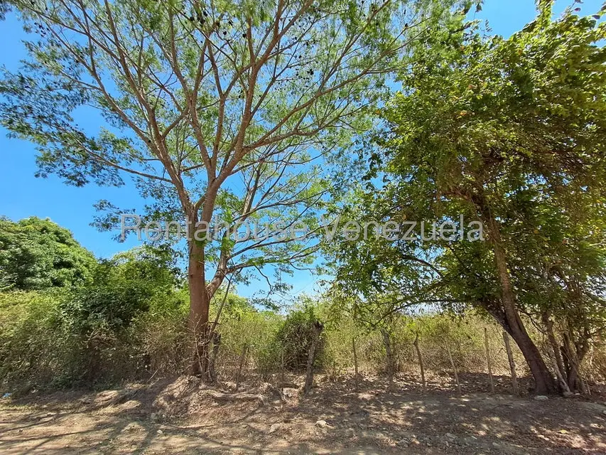 Terreno (Finca) en Venta en Tocuyito, Carabobo - 2