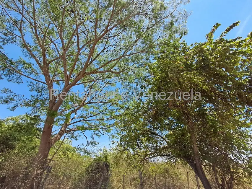 Terreno (Finca) en Venta en Tocuyito, Carabobo - 5