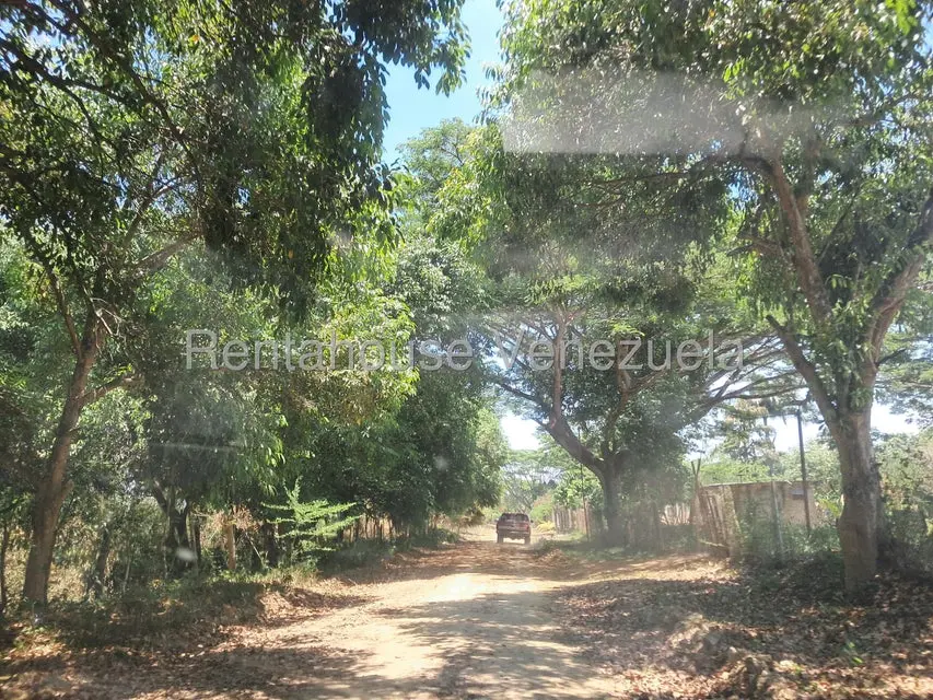 Terreno (Finca) en Venta en Tocuyito, Carabobo - 7