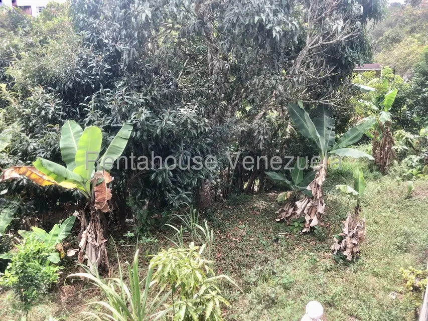 Casa (Multipes Niveles) en Venta en Colinas de Carrizal, Miranda - 28