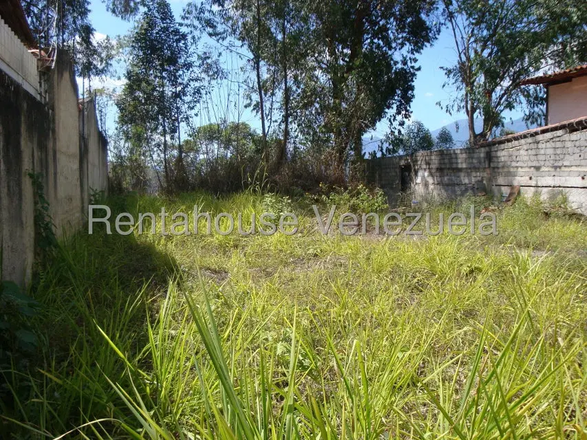 Terreno (Residencial) en Venta en Los Naranjos del Cafetal, Distrito Metropolitano - 2