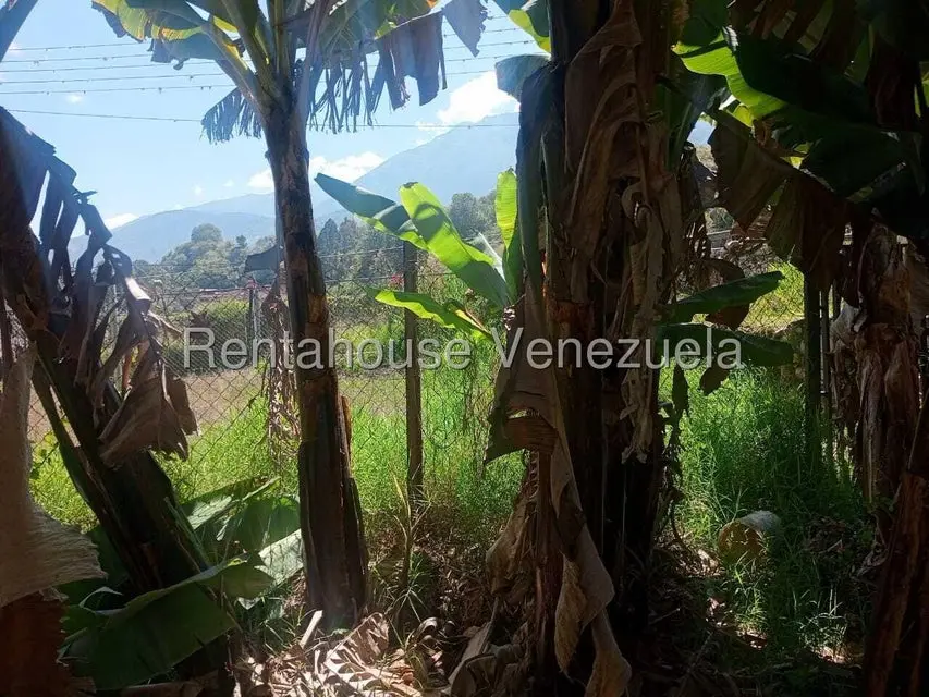 Casa (1 Nivel) en Venta en Mucunutan, Merida - 35