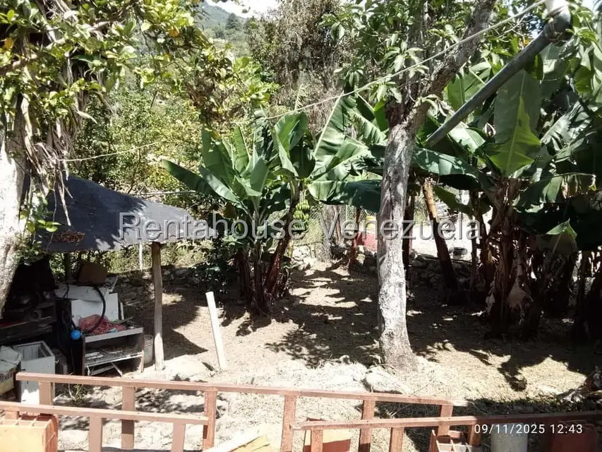 Casa (1 Nivel) en Venta en Mucunutan, Merida - 8