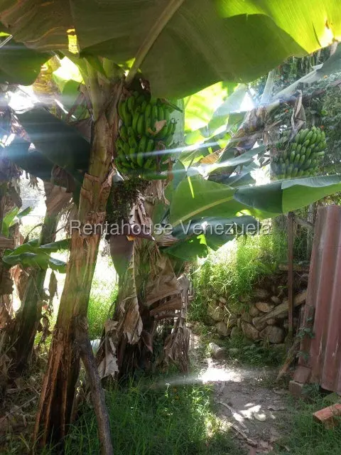 Casa (1 Nivel) en Venta en Mucunutan, Merida - 9