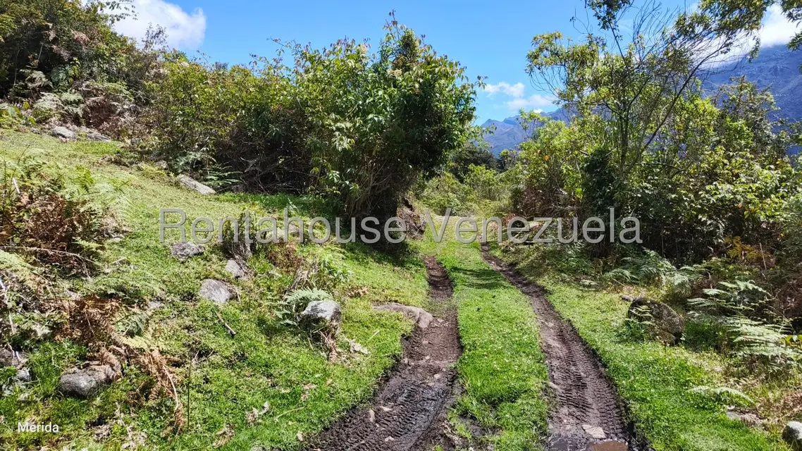 Terreno (Finca) en Venta en La Culata, Merida - 2