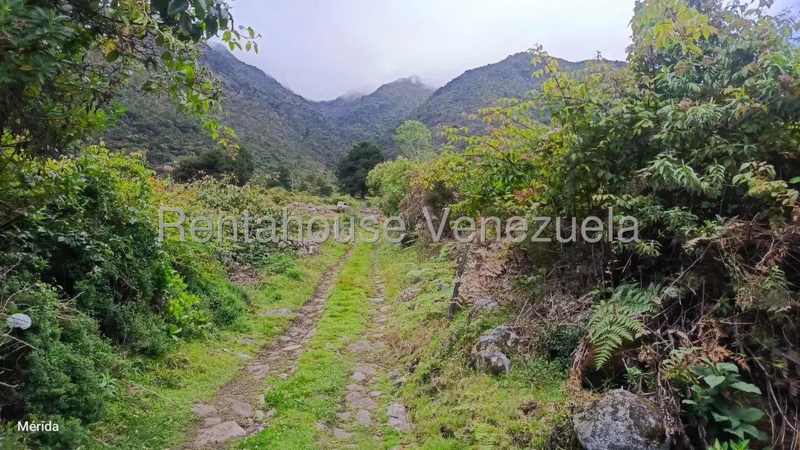 Terreno (Finca) en Venta en La Culata, Merida - 3